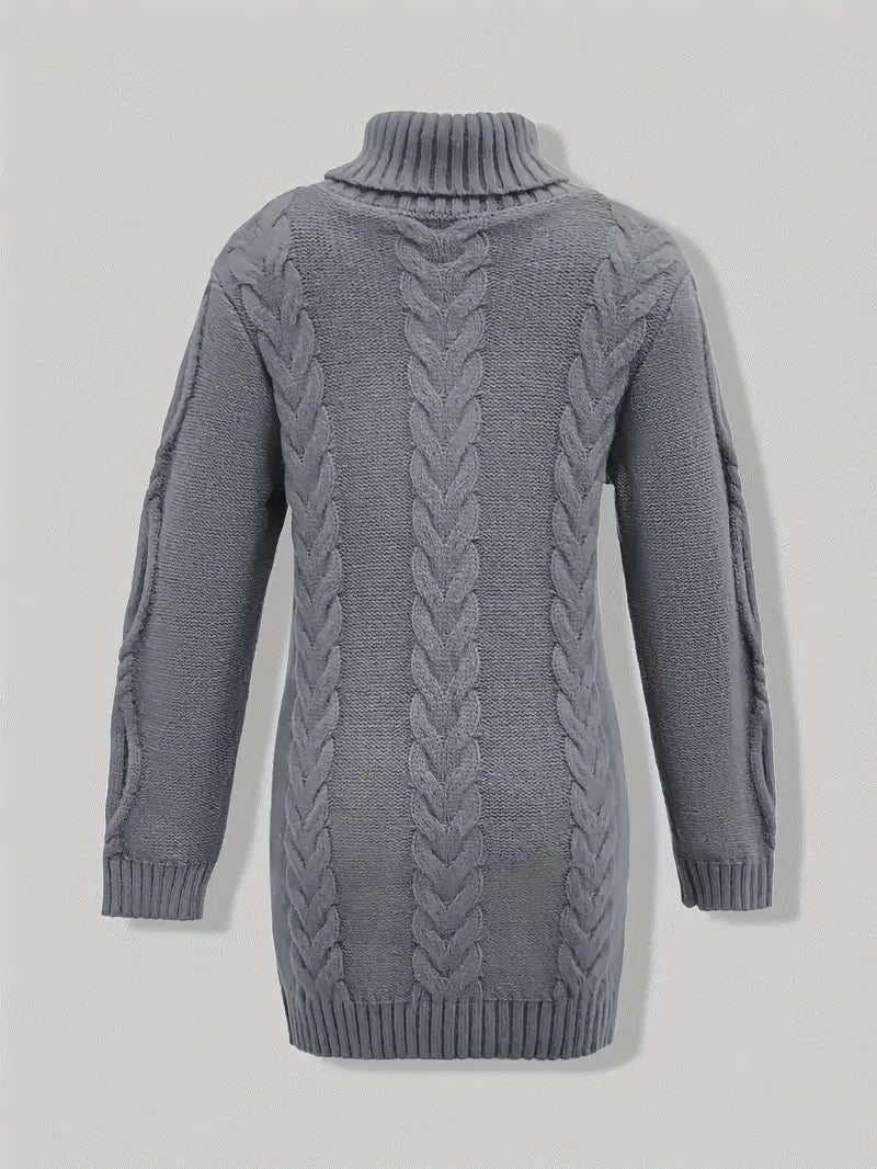 Robe turtleneck élégante Danoir Paris, modèle FR1031, en tissu fluide avec manches longues et coupe ajustée.