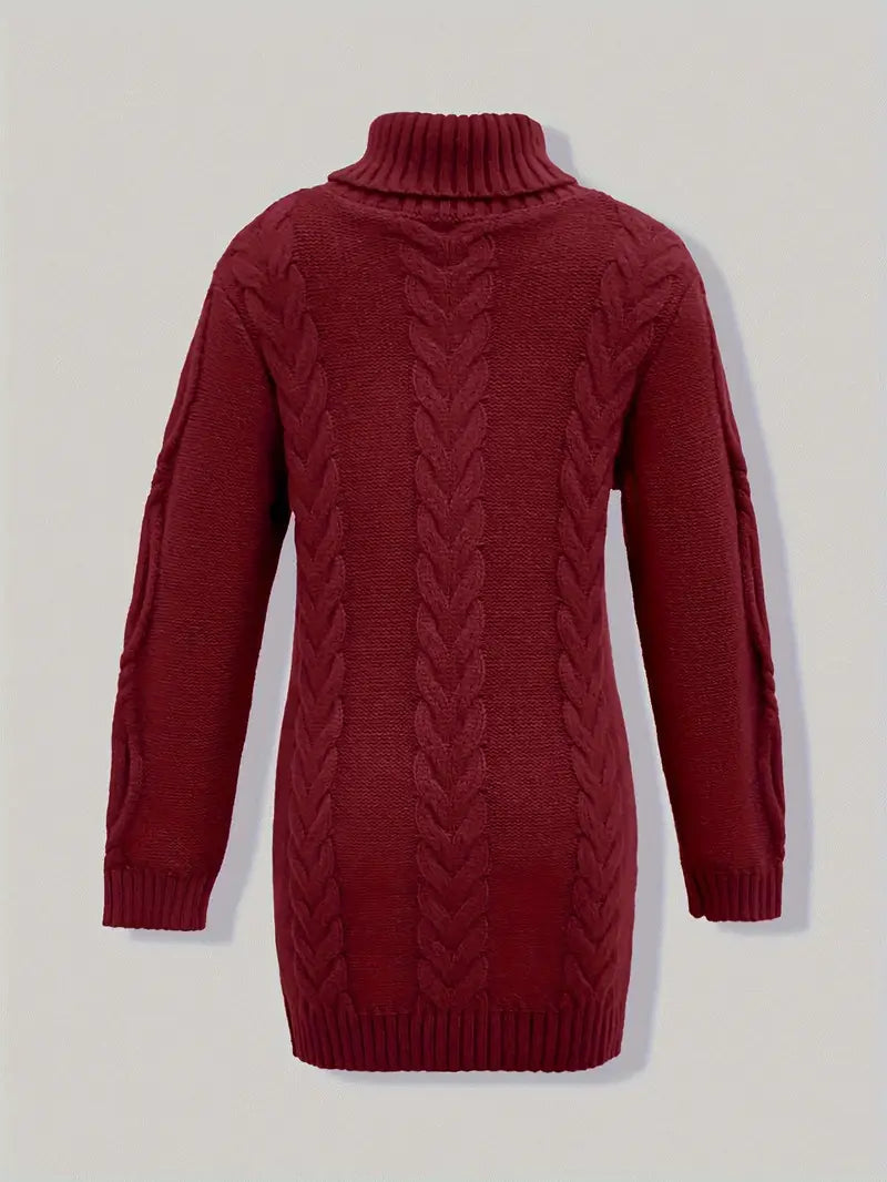 Robe turtleneck élégante Danoir Paris, modèle FR1031, en tissu fluide avec manches longues et coupe sophistiquée.