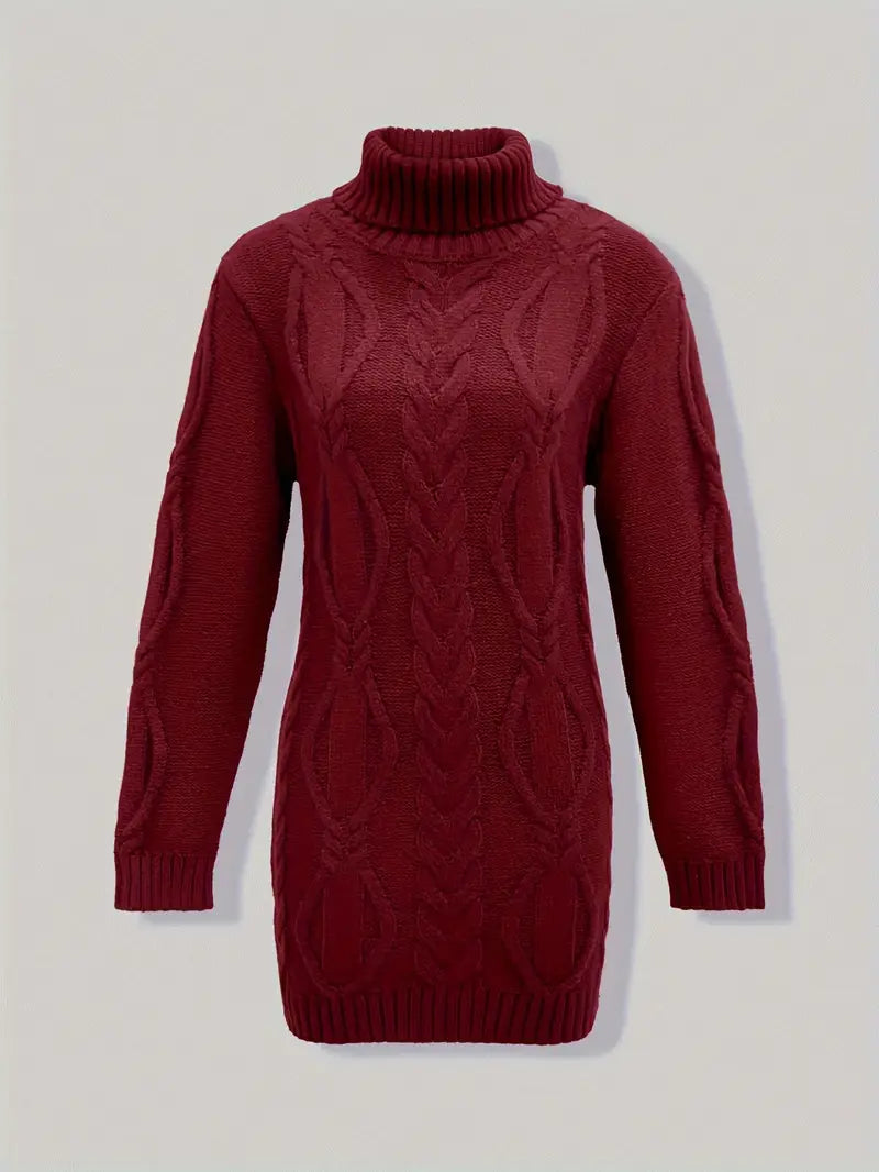 Robe turtleneck élégante Danoir Paris, modèle FR1031, en tissu fluide, couleur noire, portée décontractée ou chic.